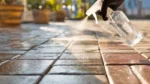 How to Clean Darkened Paving Stones: Quick and Natural Methods How to Clean Darkened Paving Stones