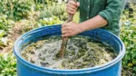 Nettles and Comfrey: How to Make a Powerful Natural Fertilizer for the Garden Nettles and Comfrey-How to Make a Powerful Natural Fertilizer for the Garden