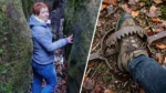 Tourist Trapped in Bear Trap for 3 Hours – Shocking Incident in Georgia Tourist Trapped in Bear Trap for 3 Hours